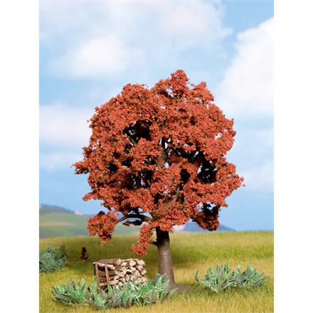 Noch 21730 Rotbuche, 13 cm hoch