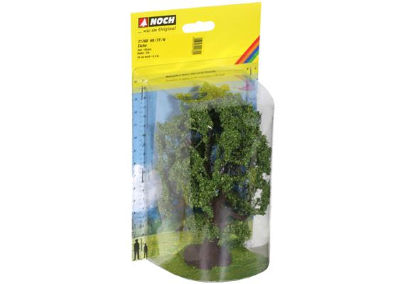 NOCH 21760 Eiche 16 cm | Bild 2