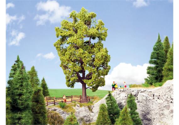 Noch 21781 Linde, 18,5 cm hoch | Bild 1