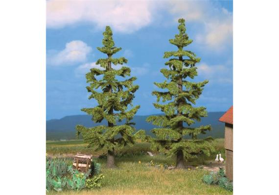 Noch 21831 2 Fichten 13 cm + 14,5 cm | Bild 1