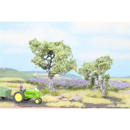 NOCH 21995 Olivenbäume, 2 Stück