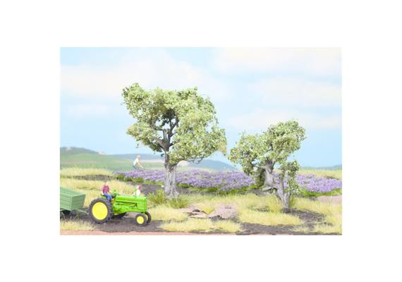 NOCH 21995 Olivenbäume, 2 Stück | Bild 1