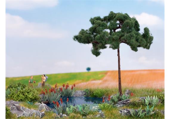 NOCH 21997 Pinie 11,5 cm HO | Bild 1