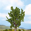 NOCH 25860 Eiche, 15 cm hoch - H0, TT, N, 0 | Bild 1