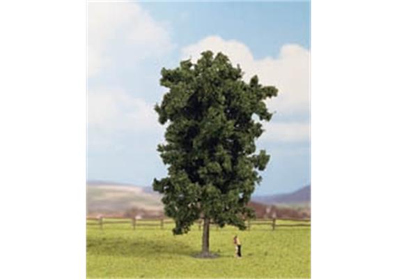 Noch 25895 Rosskastanie 19 cm HO