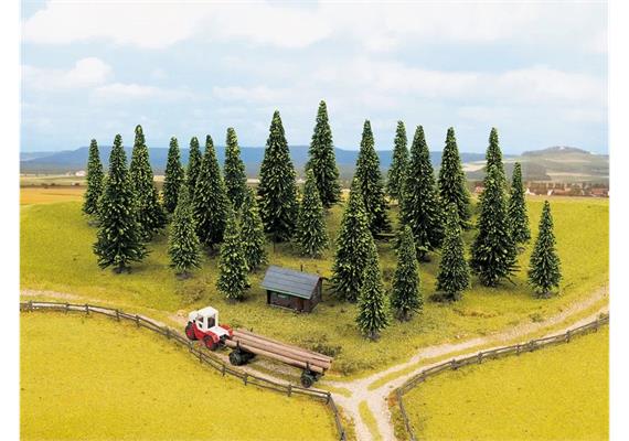 Noch 26419 Modellfichten, 10 Stück, 6 - 15 cm - H0 (1:87) | Bild 3