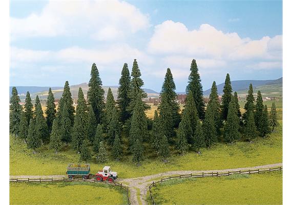 Noch 26420 10 Modelltannen 80 - 150 mm | Bild 3