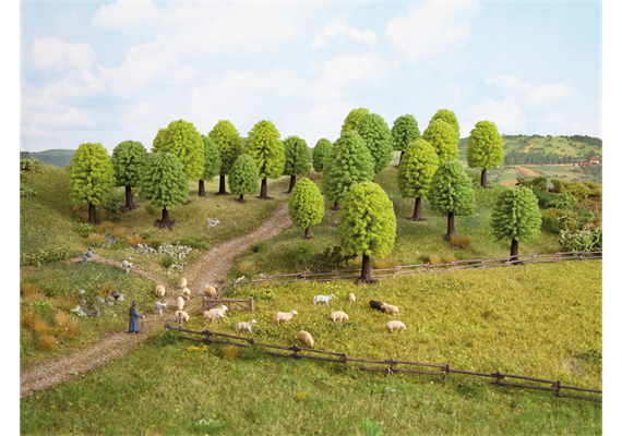 Noch 26901 Laubbäume, 10 Stück | Bild 2