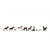 Noch 36717 Hunde - N (1:160)