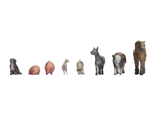 Noch 44705 Tiere auf dem Bauernhof - Z (1:220)