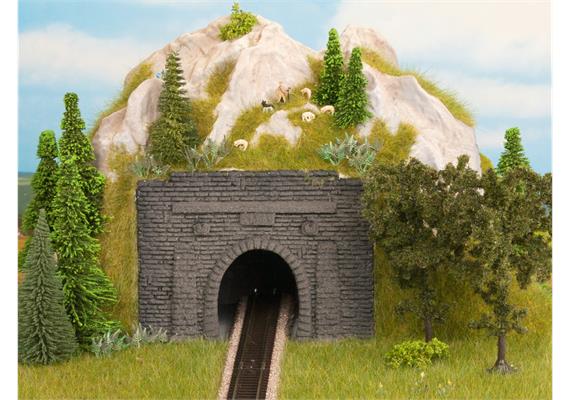 Noch 48790 Vorsatz-Portal, 1-gleisig, zur Reduzierung von H0 auf TT | Bild 1