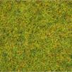 Noch 50190 Streugras “Sommerwiese”, 100 g | Bild 2