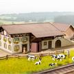 Noch 66714 Bauernhof - H0 (1:87) | Bild 2