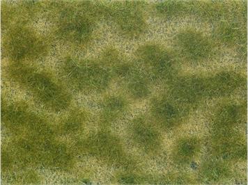 Noch 07253 Bodendecker-Foliage grün/beige, 12 x 18 cm