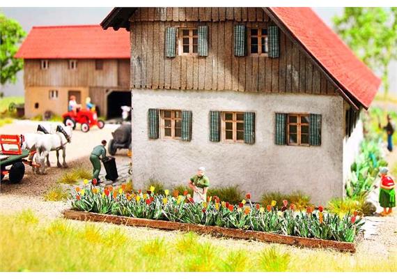 Noch Laser-Cut minis "Tulpen" HO