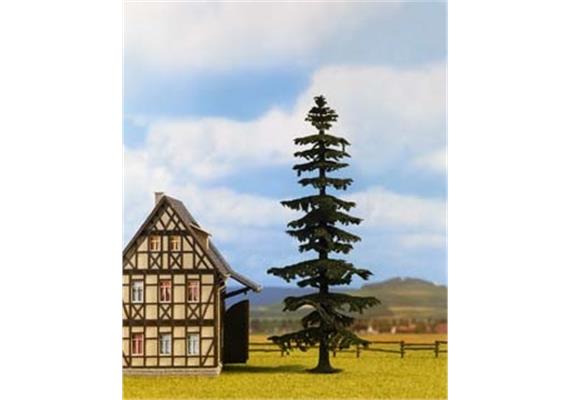 NOCH Nordmannstanne 20cm