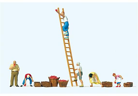 Preiser 10720 Apfelernte - H0 (1:87)