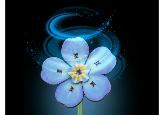 Revell 00630 Blossom Festival - Blumenstrauß der alle Sinne berührt | Bild 6