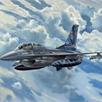 Revell 03844 Lockheed Martin F-16D Tigermeet 2014, Massstab 1:72 | Bild 2