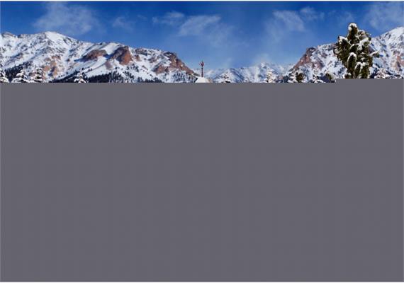 Vollmer 42413 Weihnachtsdorf mit LED-Beleuchtung, Funktionsbausatz - H0 (1:87) | Bild 2