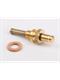 Wilesco 01514 Federsicherheitsventil M 6 x 0, 75 Feingewinde (ab Baujahr 1990), messing