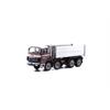 ACE 002309 Berna D290B F8x4 Kipper Wuthrich - H0 1:87