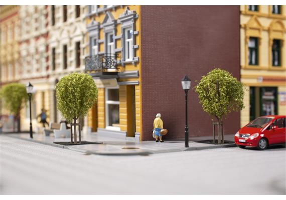 Auhagen 70950 Junge Bäume H0, TT, N | Bild 5