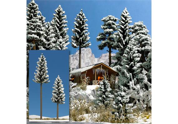Busch 6153 2 verschneite Hochstammfichten, 130 und 195 mm hoch - H0 (1:87)