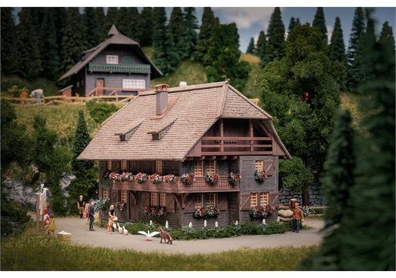 Faller 130012 Jubiläumsmodell Uhrenmacherhaus mit Figur - H0 (1:87) | Bild 1