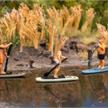 Faller 151736 Stand-Up-Paddler - H0 (1:87) | Bild 2