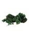 Faller 170431 Islandmoos, grün, 50 g