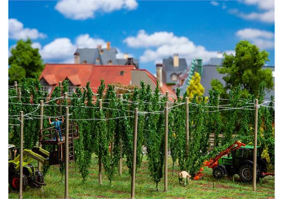 Faller 181280 Hopfenfeld mit Stangen, H0 1:87