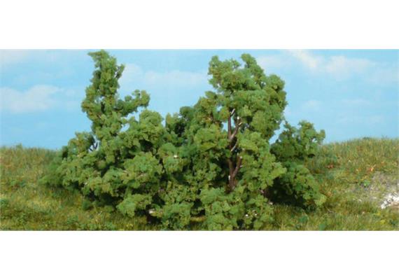 HEKI 1179 5 Büsche und Sträucher, 6 - 8 cm