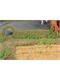 HEKI 11811 2 flexible Rosenhecken, 0,7 x 1,4 x 50 cm