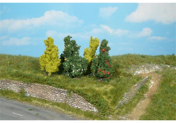 HEKI 1182 5 Sträucher, 6 cm