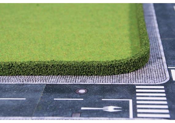 HEKI 1757 2 Thujahecken, 25 x 7 mm, je 50 cm lang