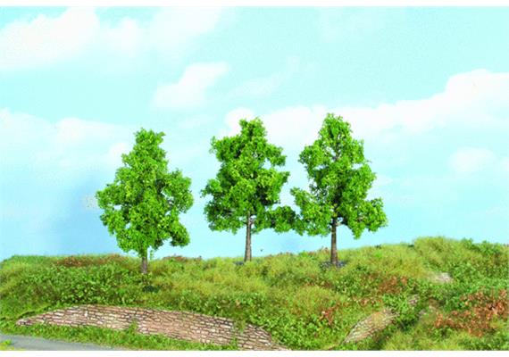 Heki 19100 3 Obstbäume, 12 cm