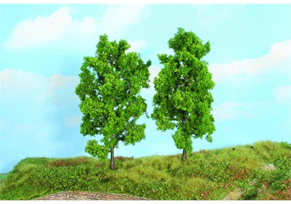 Heki 19103 2 Buchen, 18 cm