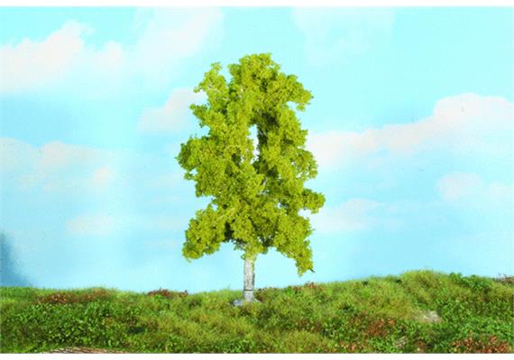 Heki 19106 1 Kastanie, 18 cm