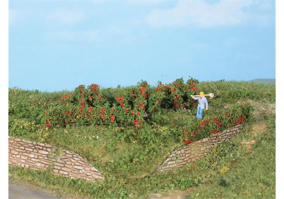 HEKI 19125 10 Rosenhecken und Büsche 0,7 - 3 cm