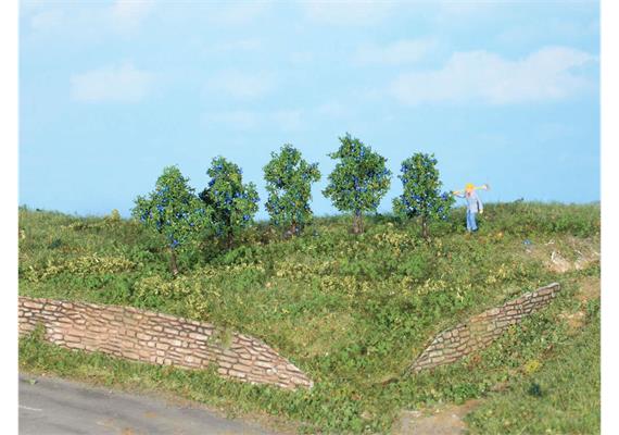 HEKI 19132 5 Zwetschgenbäume 4 cm - H0 bis Z