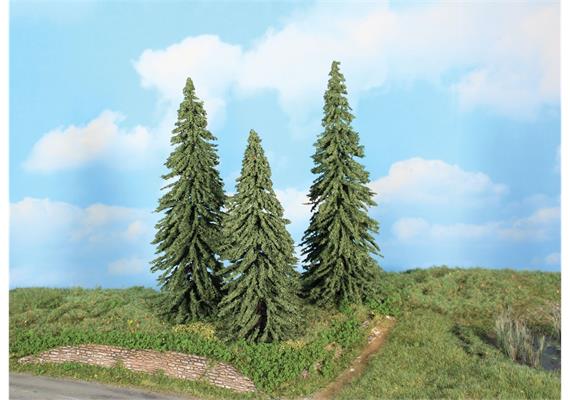 HEKI 21800 3 Wetterfichten, 18 - 22 cm