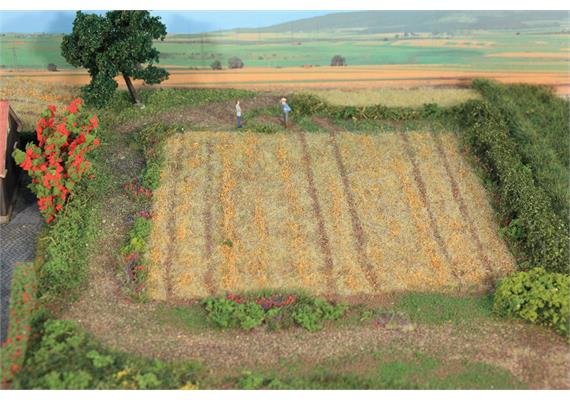 HEKI 33520 Stoppelfeld Grasfaser 2 - 3 mm, 50 g