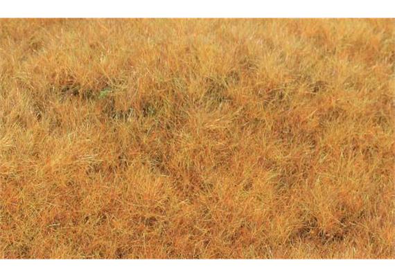 HEKI 33544 Grasfaser Willdgras Frühherbst, 75 g