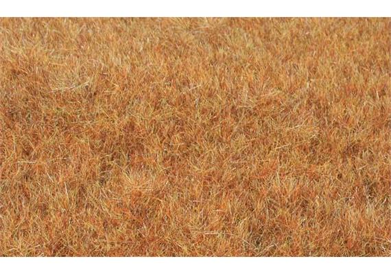 HEKI 33545 Grasfaser Willdgras Spätherbst, 75 g, 5 - 6 mm