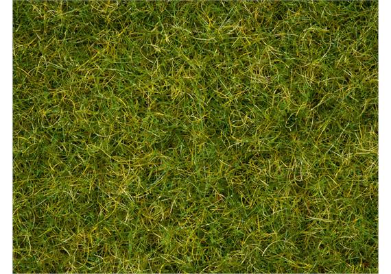 Noch 07072 Master-Grasmischung “Sommerwiese” | Bild 2