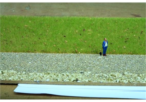 Noch 07075 Master-Grasmischung “Almwiese” 2,5 bis 6 mm, 50 g Beutel