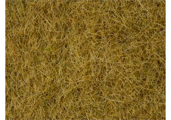 Noch 07101 Wildgras beige, 50 g | Bild 2