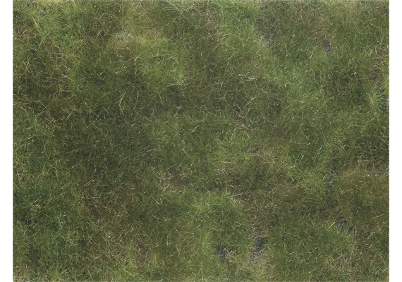 Noch 07251 Bodendecker-Foliage olivgrün, 12 x 18 cm - H0, TT, N, Z, 0, 1, G, H0m, H0e | Bild 1