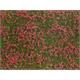 Noch 07257 Bodendecker-Foliage Wiese rot, 12 x 18 cm - H0, TT, N, Z, 0, 1, G, H0m, H0e